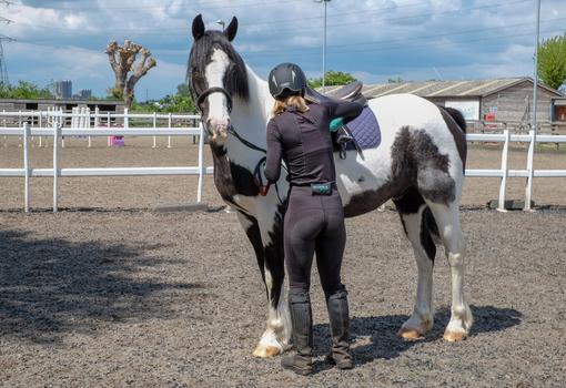 Riding centre with rider and horses shop