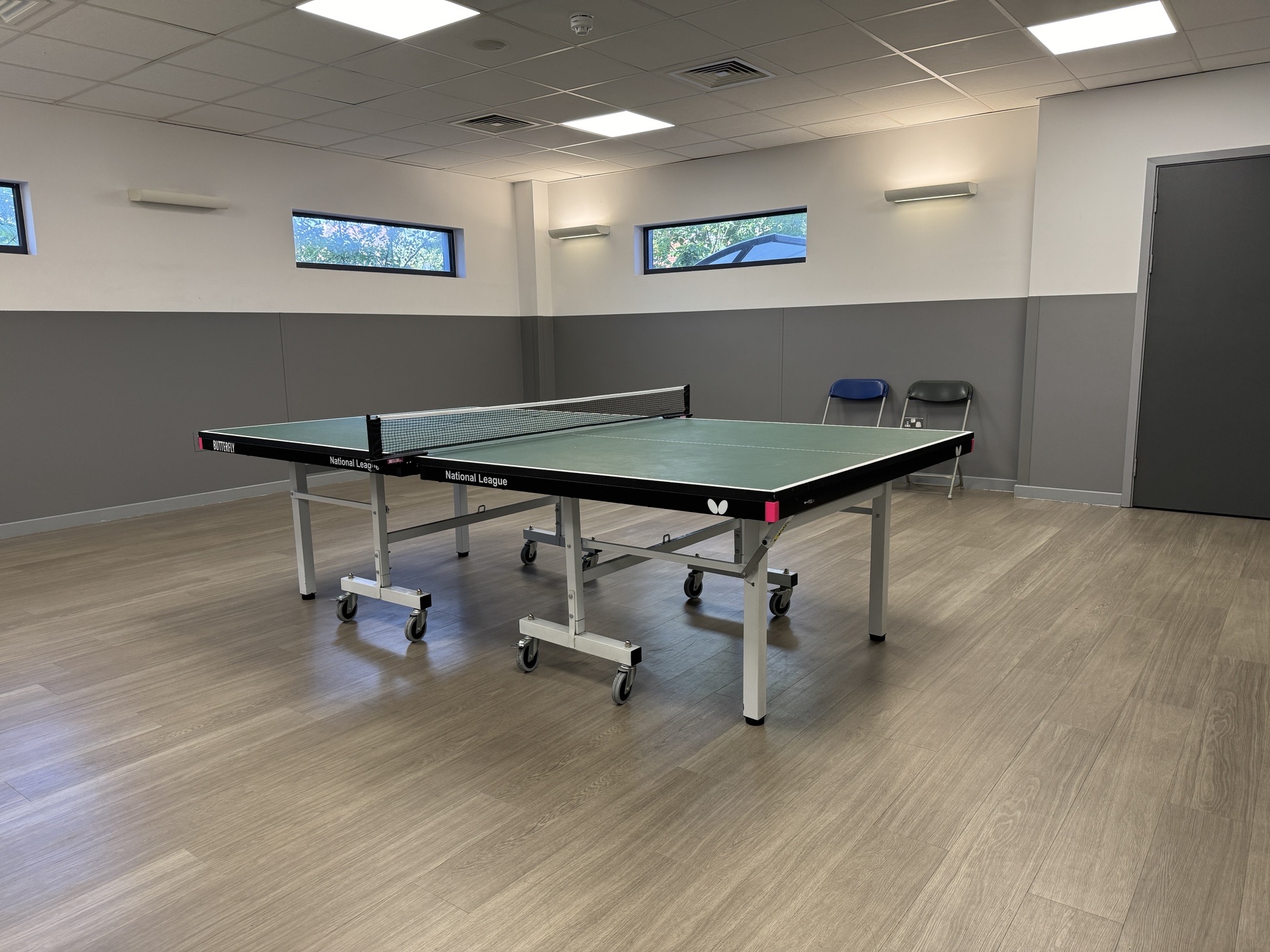 Green Table Tennis table