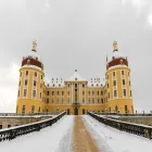 Yellow Moritzburg Palace in the Snow