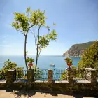 Tree and Courtyard Overlooking the Sea in Corniglia