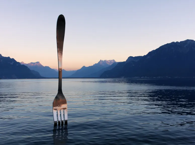 Fork of Vevey at Lake Geneva at Sunset
