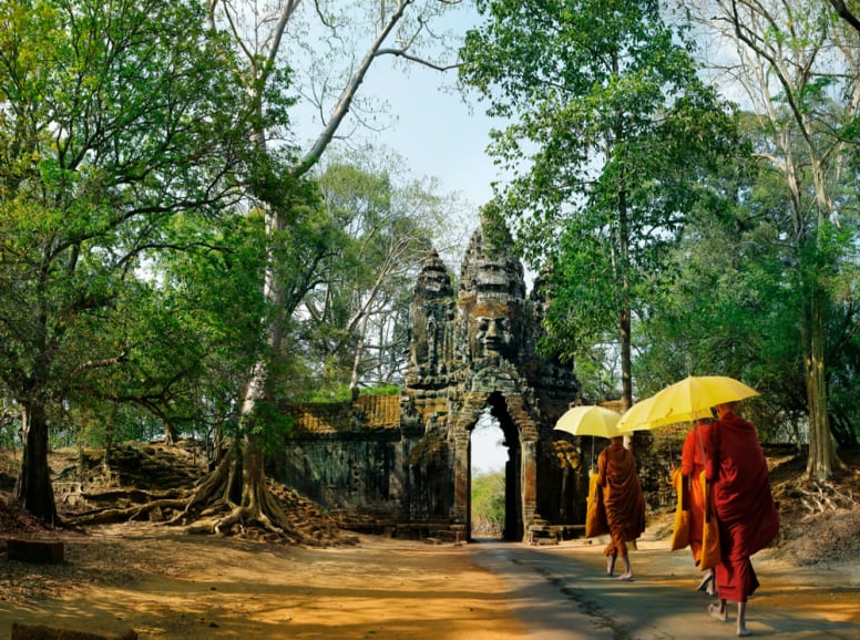 Monks Walking With Yellow Umbrellas in Siem Reap