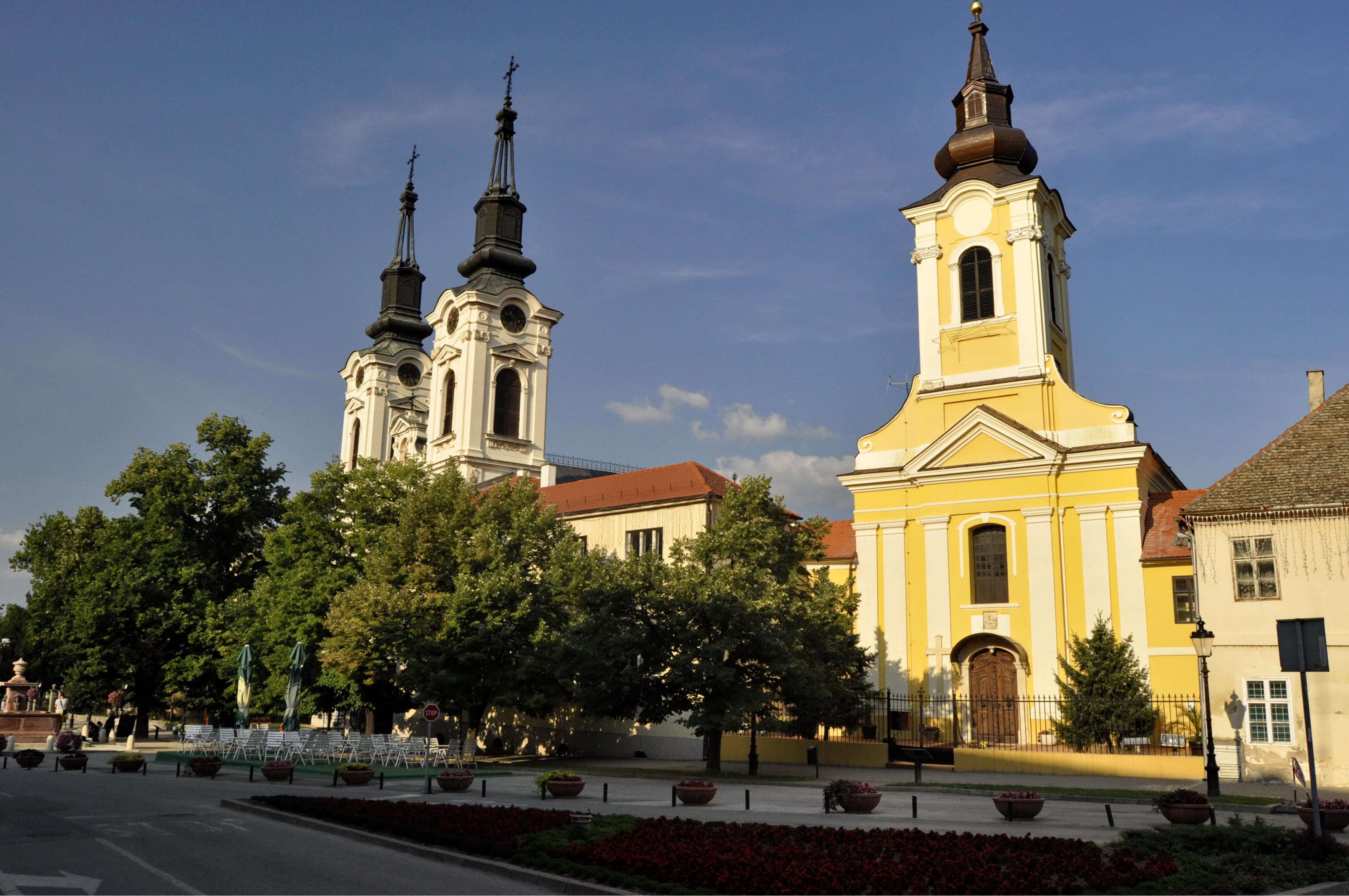 Street in Sremski Karlovci with Two Churches