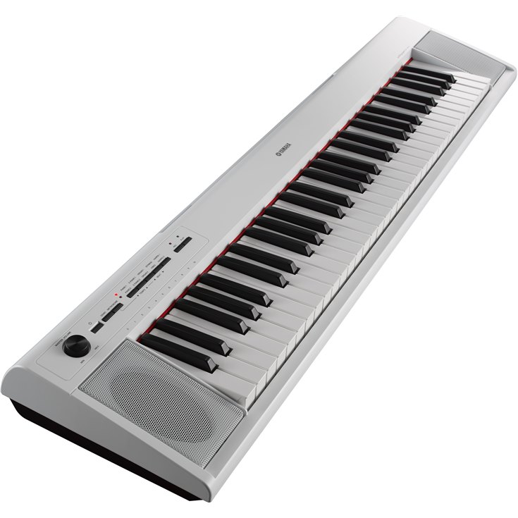 harga yamaha np12