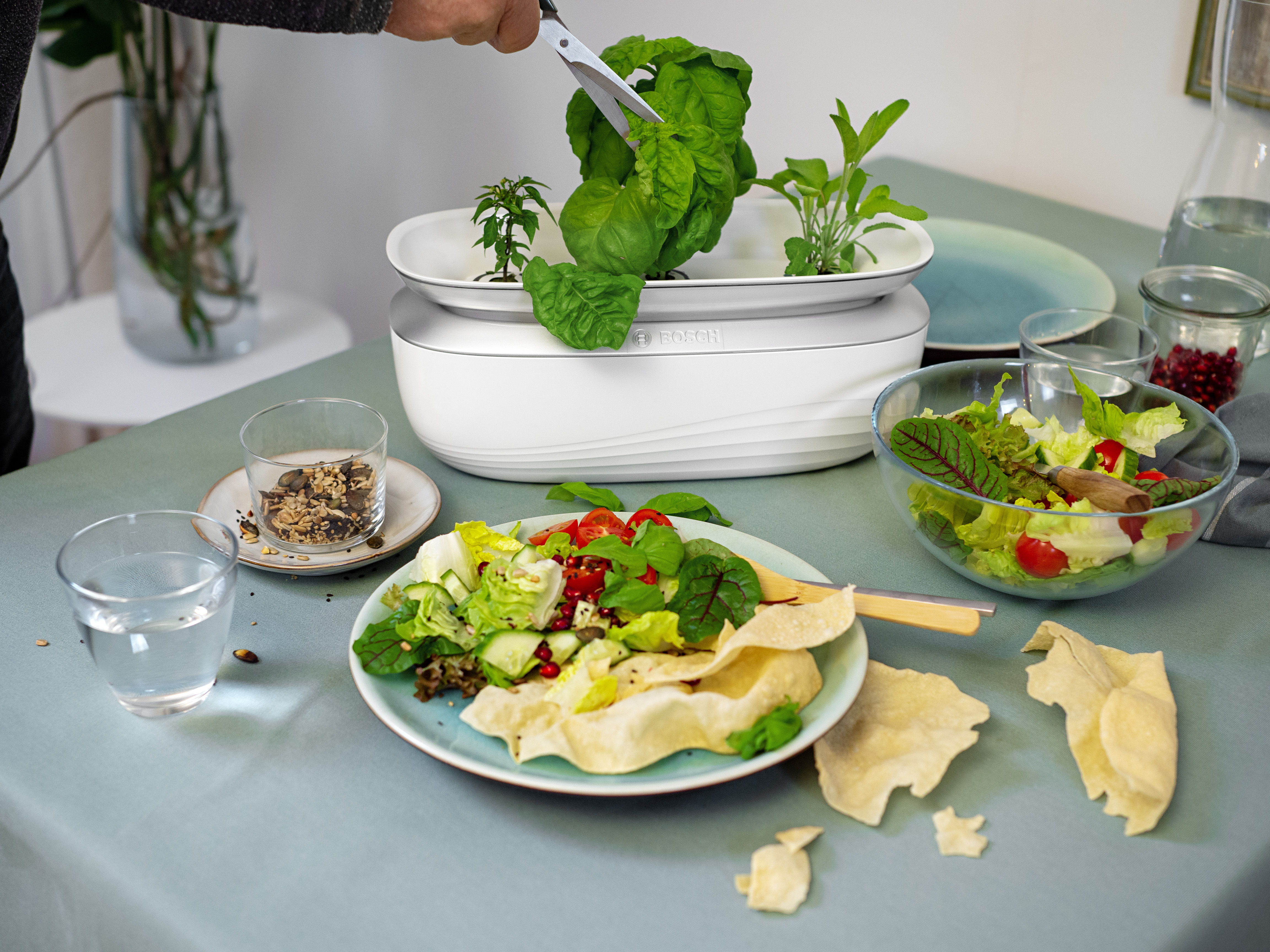 Alquila Bosch SmartGrow Life MSGP3L desde 9,90 € al mes