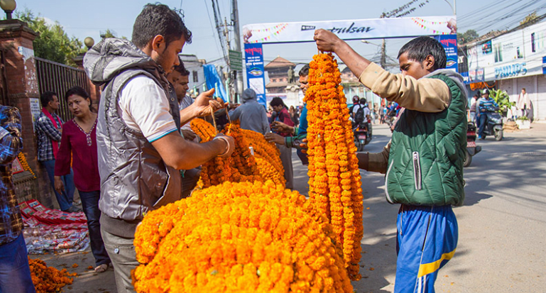 तिहारमा २४ करोड मूल्य बराबर फूलको कारोबार