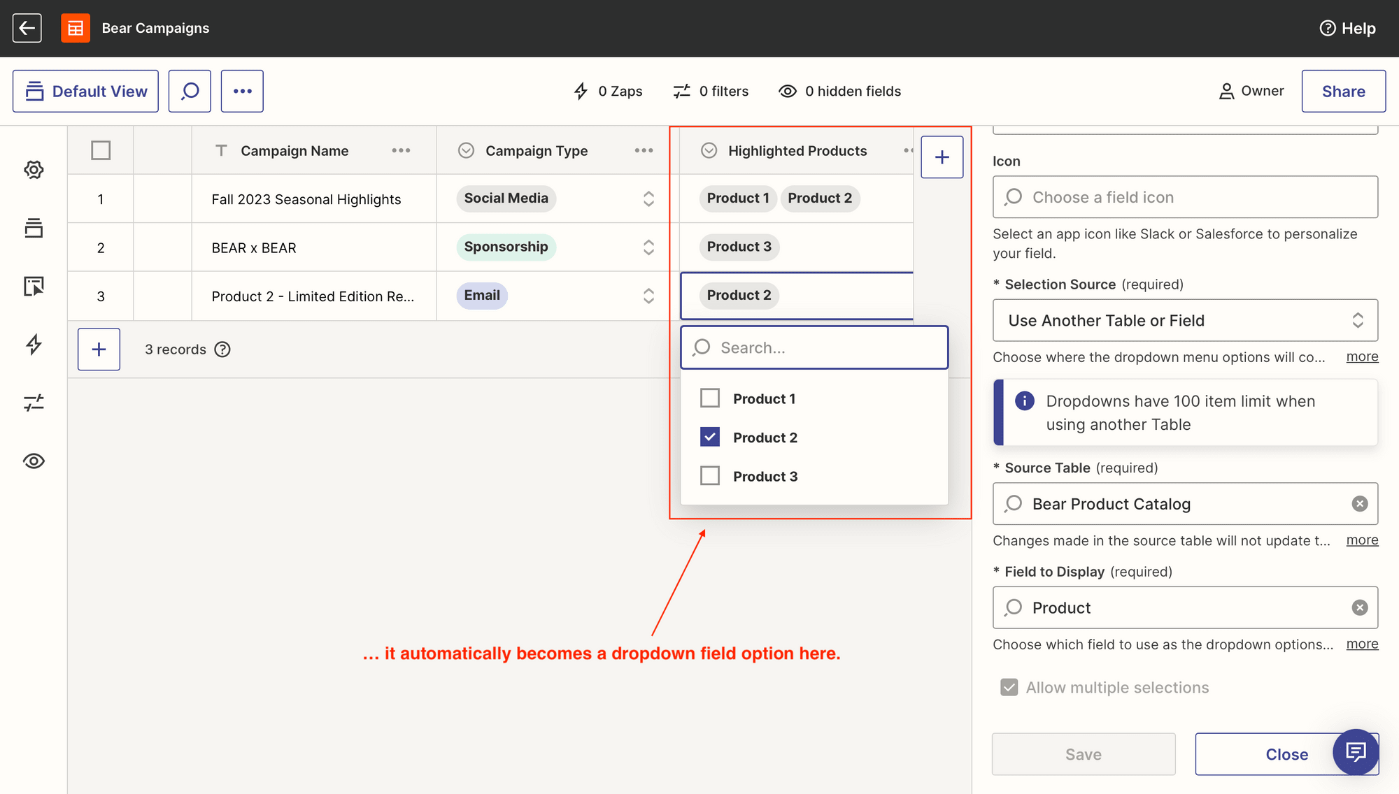 Screenshot of sample campaign table with red outline around highlighted products field