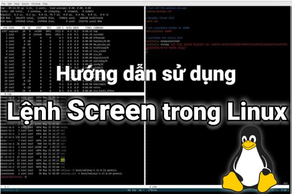 Câu lệnh Screen trong Linux là gì? Hướng dẫn cách sử dụng Screen trên Linux