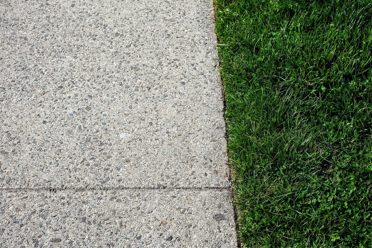 Rasenkanten schneiden: Tipps und Tricks für eine gepflegte Grasfläche