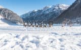 Livigno Ski Apartments,Livigno