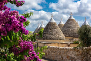 Puglia Countryside