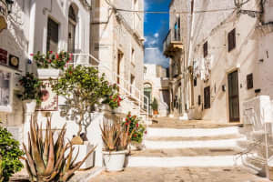 Puglia Countryside