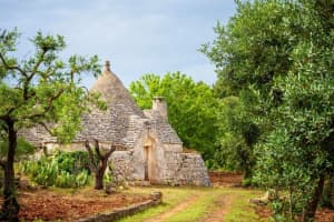 Puglia Countryside