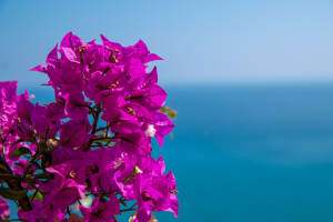 Pietra Ligure