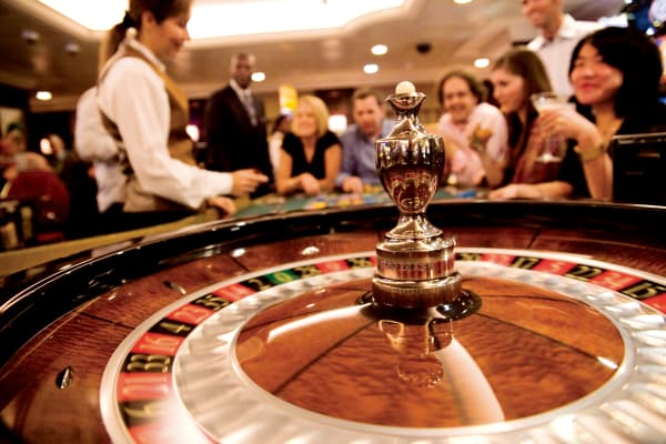 Amazara Quest,Cruise