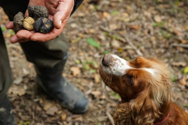 Heritage Hotel Imperial,Opatija