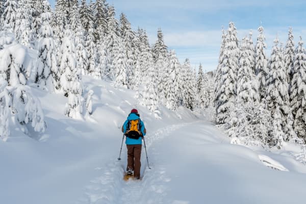 Val di Fassa
