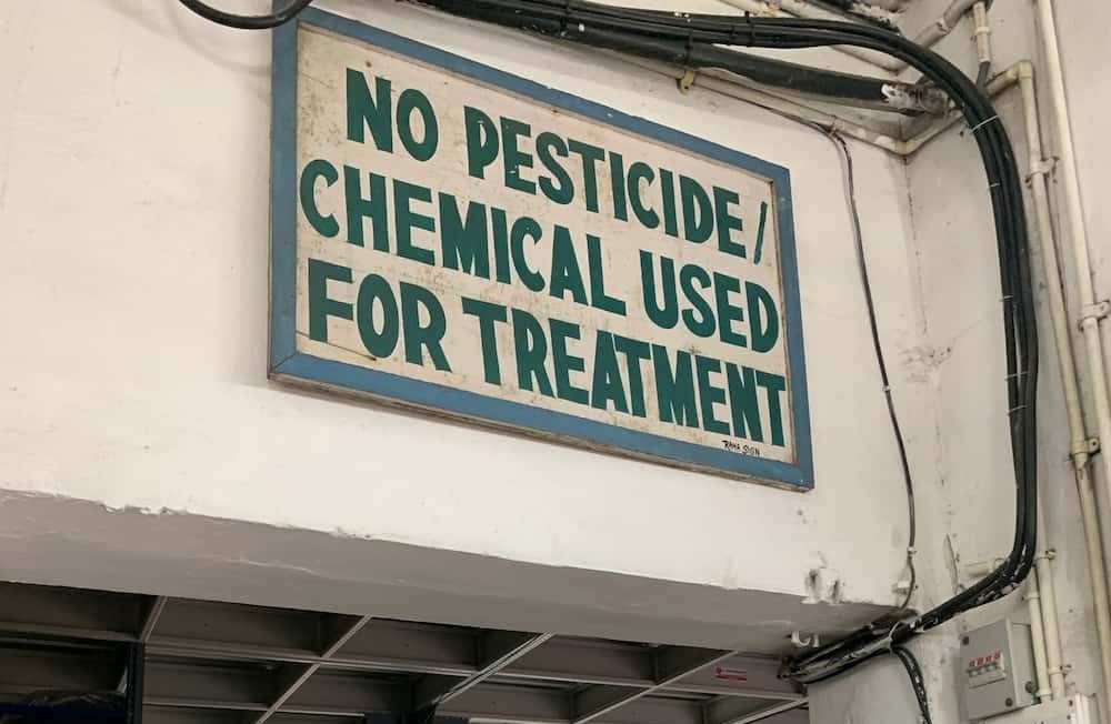 An important sign in the factory that makes Y.O.U. Underwear products (No pesticide/chemical used for treatement)