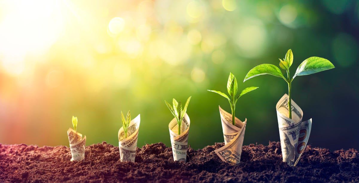 6 Fundamental Steps I Follow That Helped Me Gain Financial Independence