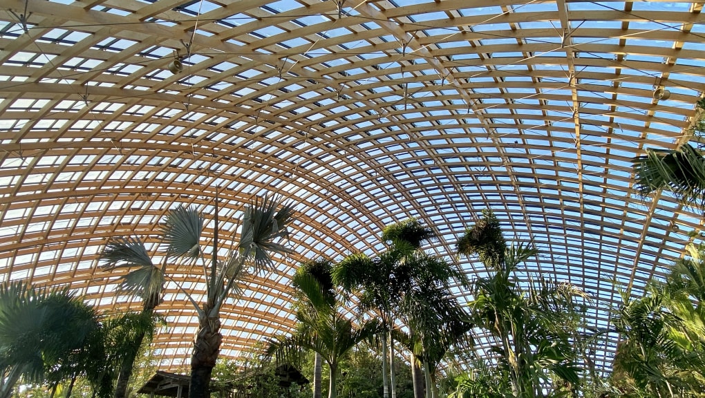 Interior view of the roof and trees within one of the Taiyuan botanical garden domes