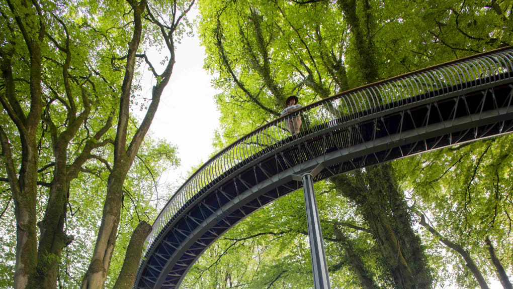 View looking up at the Viper elevated walkway at the Newt in Somerset