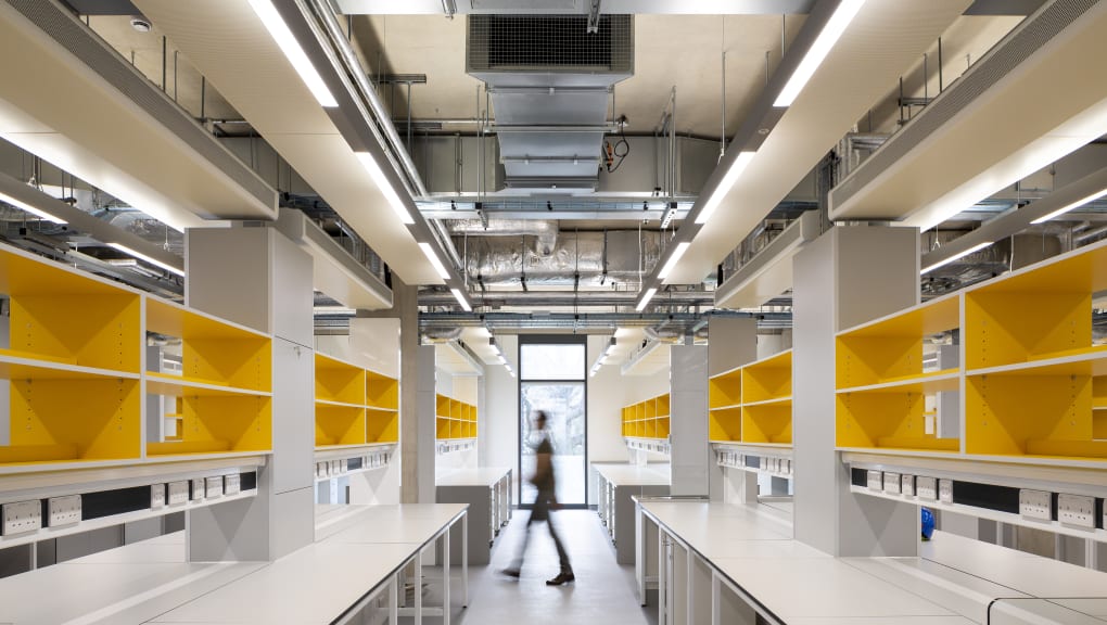 Interior view of shelving in the Pears Building