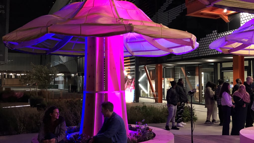 Exterior night time view of the People's Pavilion