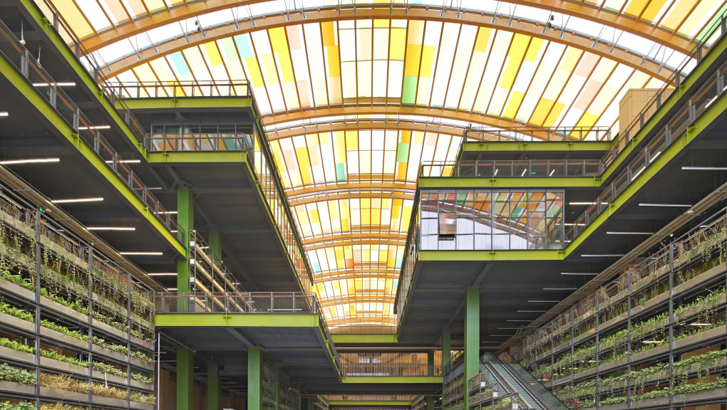 Interior view of the Tianfu Agricultural Expo Main Hall