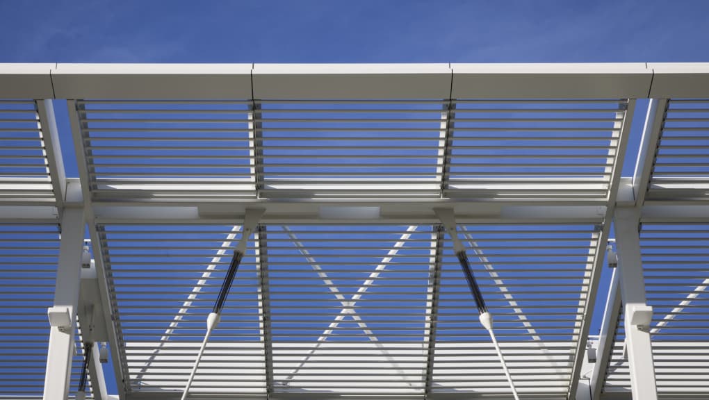Canopy detailing. Copyright: Dave Burk, 2026.
