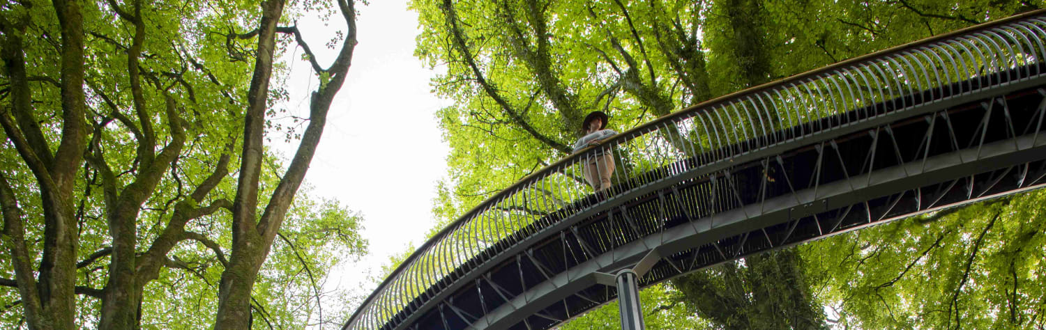 View looking up at the Viper elevated walkway at the Newt in Somerset