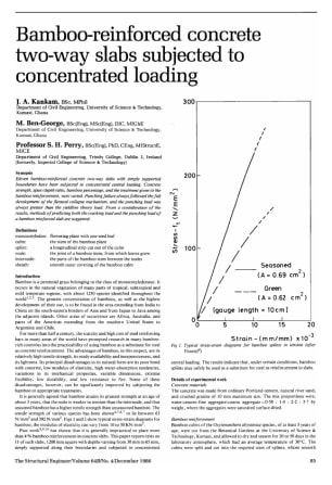 Bamboo-Reinforced Concrete Two-Way Slabs Subjected to Concentrated Loading