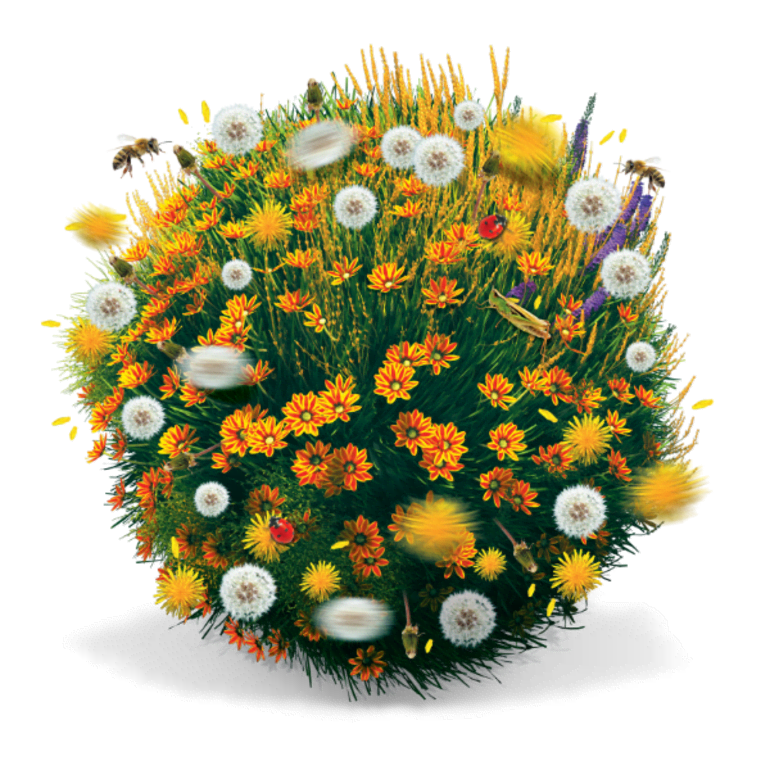 Ilustracija cvijeća koje proizvodi pelud