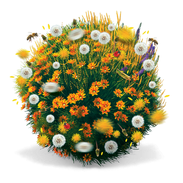 Ilustracija cvijeća koje proizvodi pelud