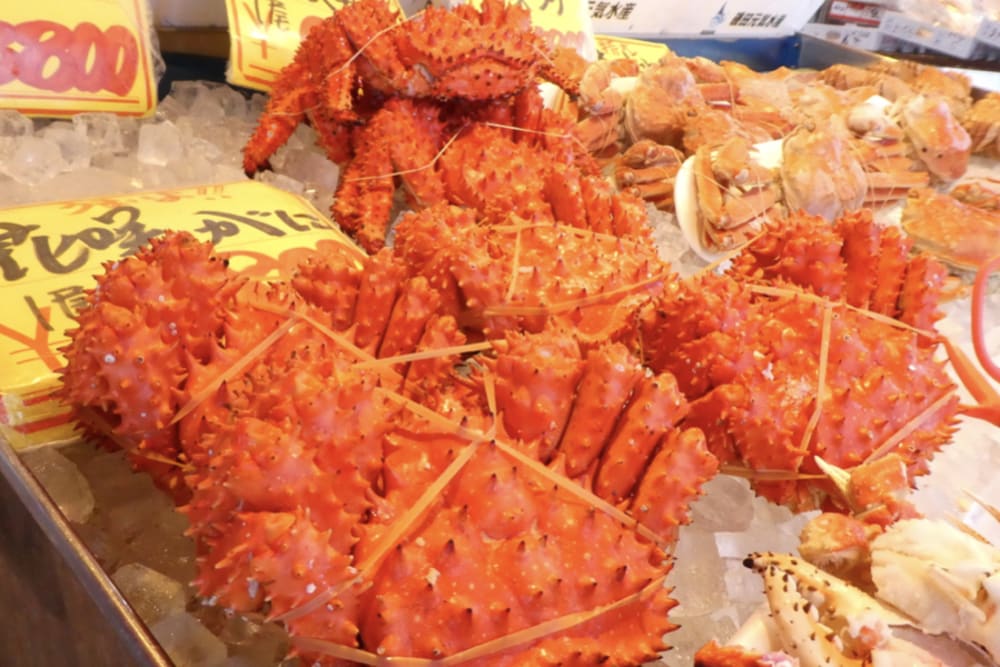 日本首屈一指的美食寶庫 六大主題帶您認識北海道