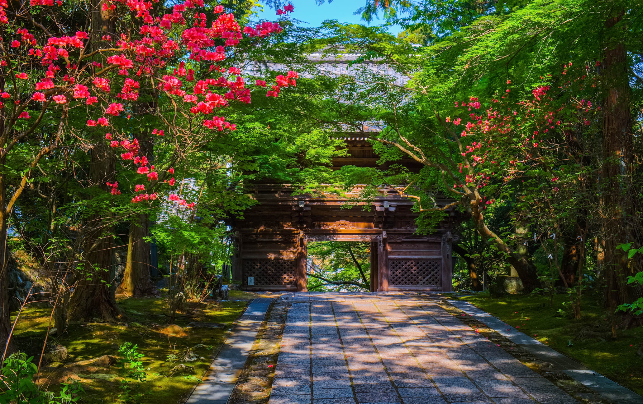 林口區 - 竹林山觀音寺