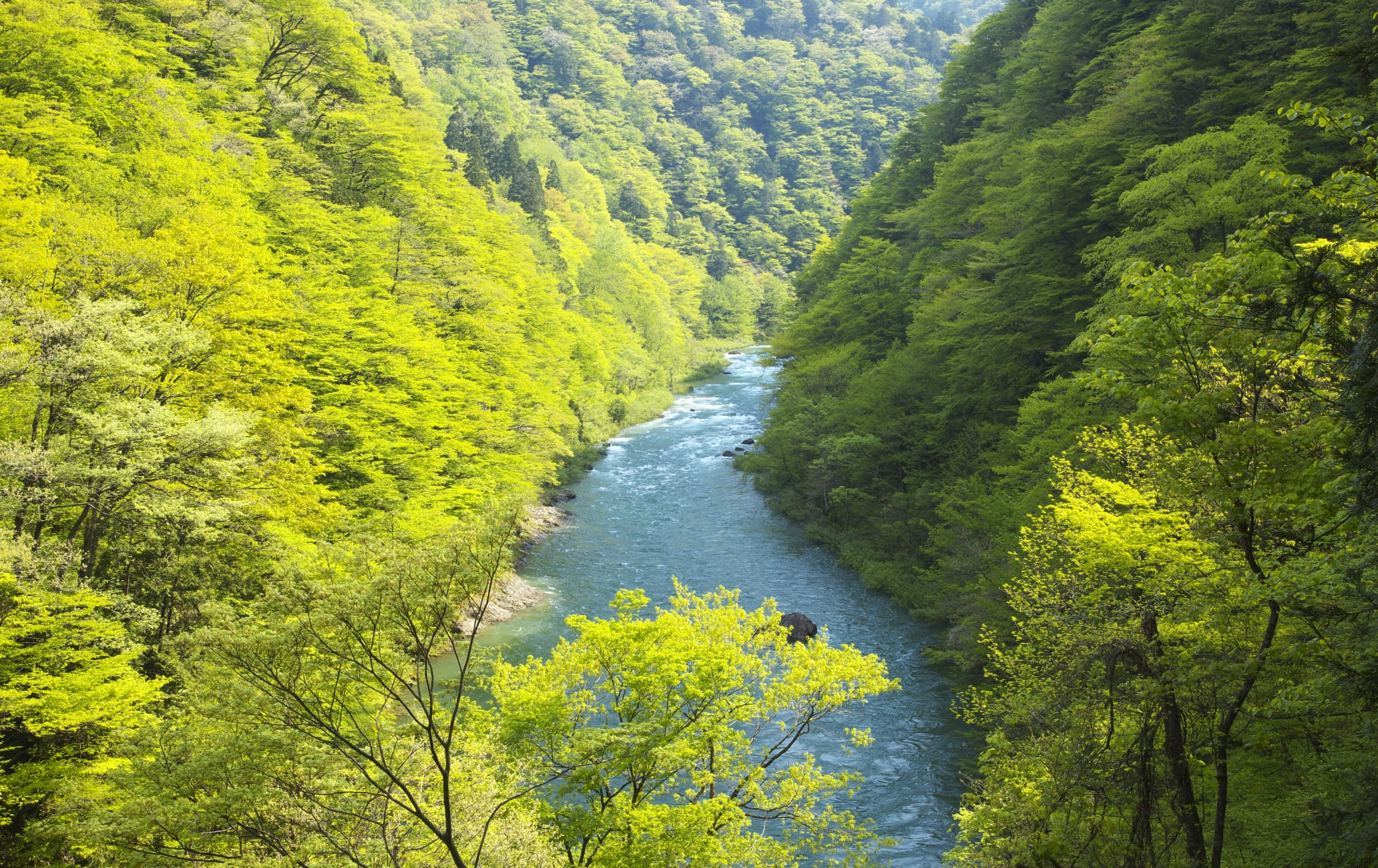 Dakigaeri Gorge