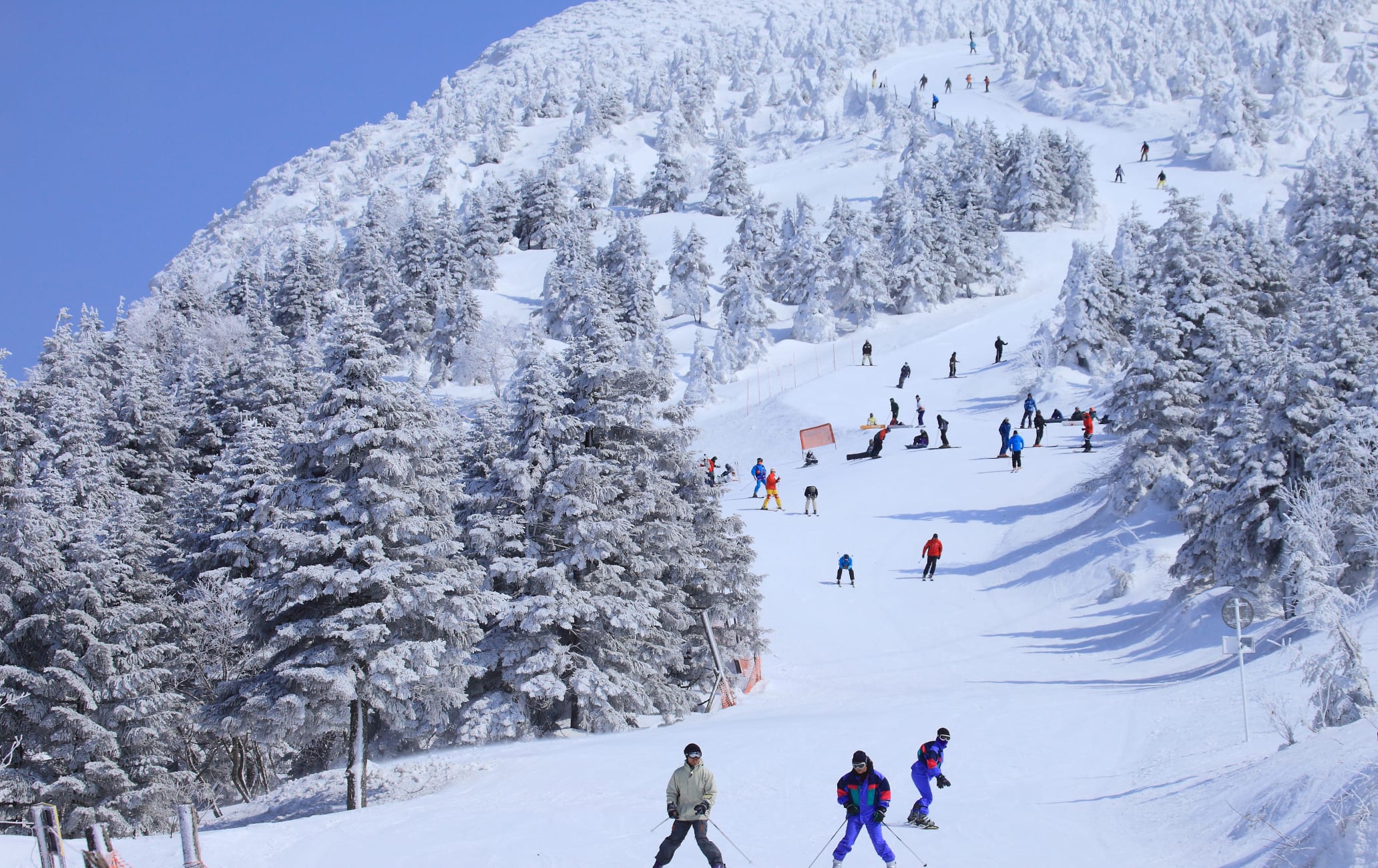 Zao (Yamagata) | Yamagata Attractions | Travel Japan | JNTO