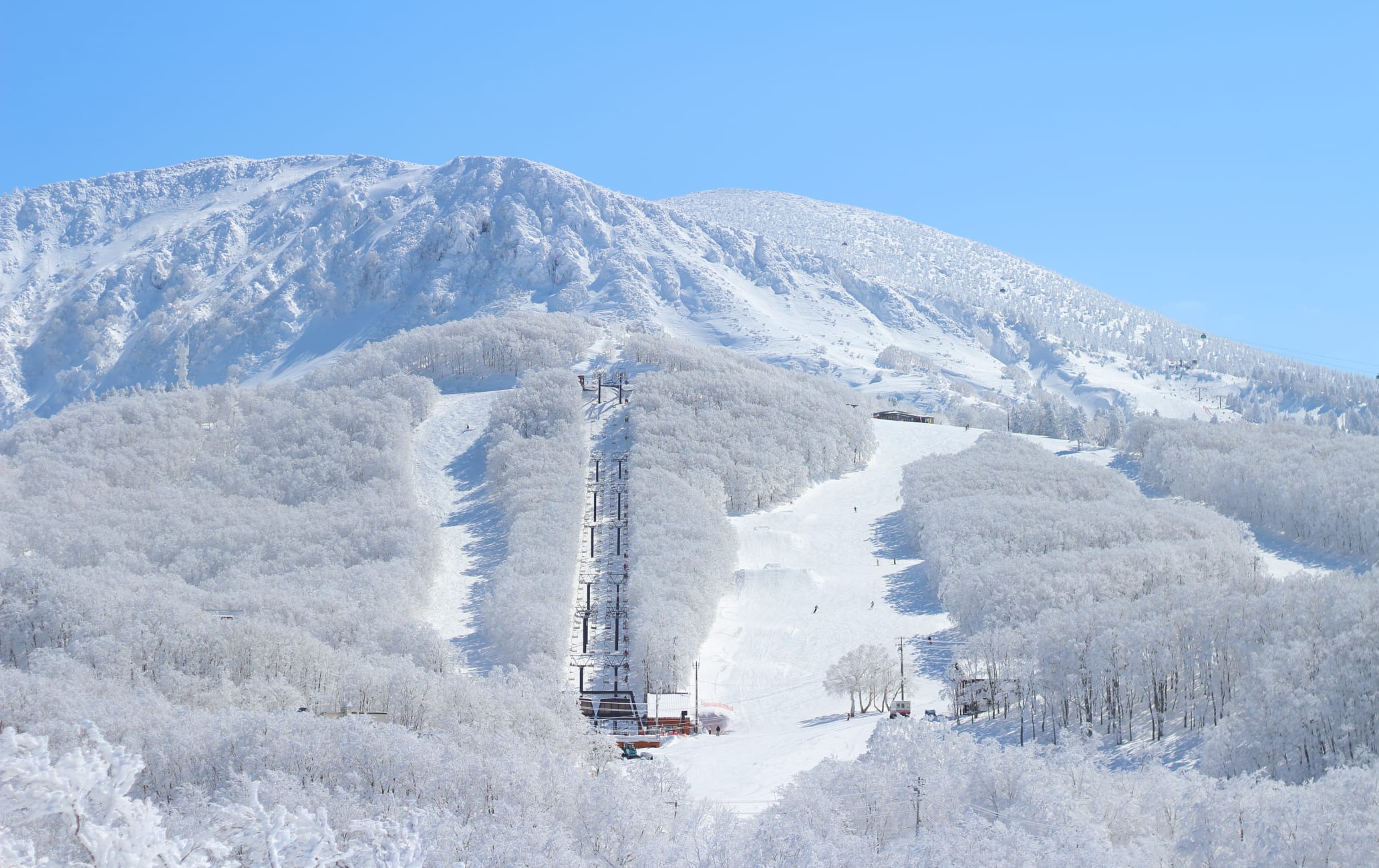 Ski at Zao-WIN