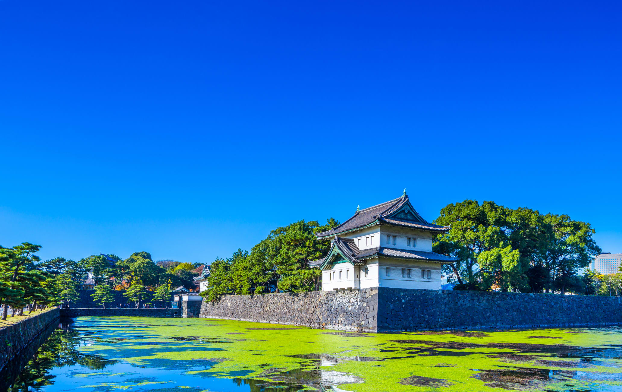 Imperial Palace Outer Gardens