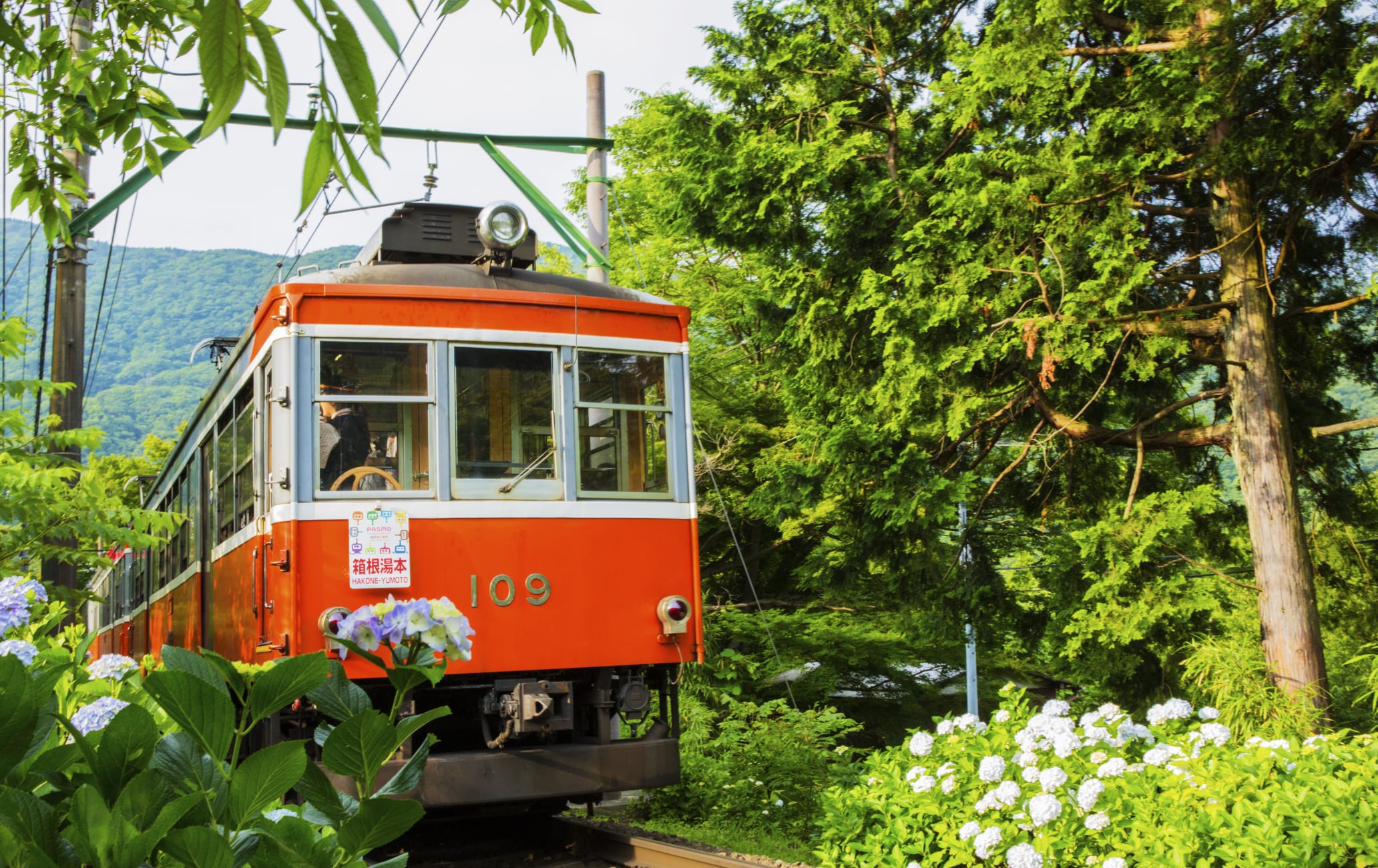 hakone tozan railway