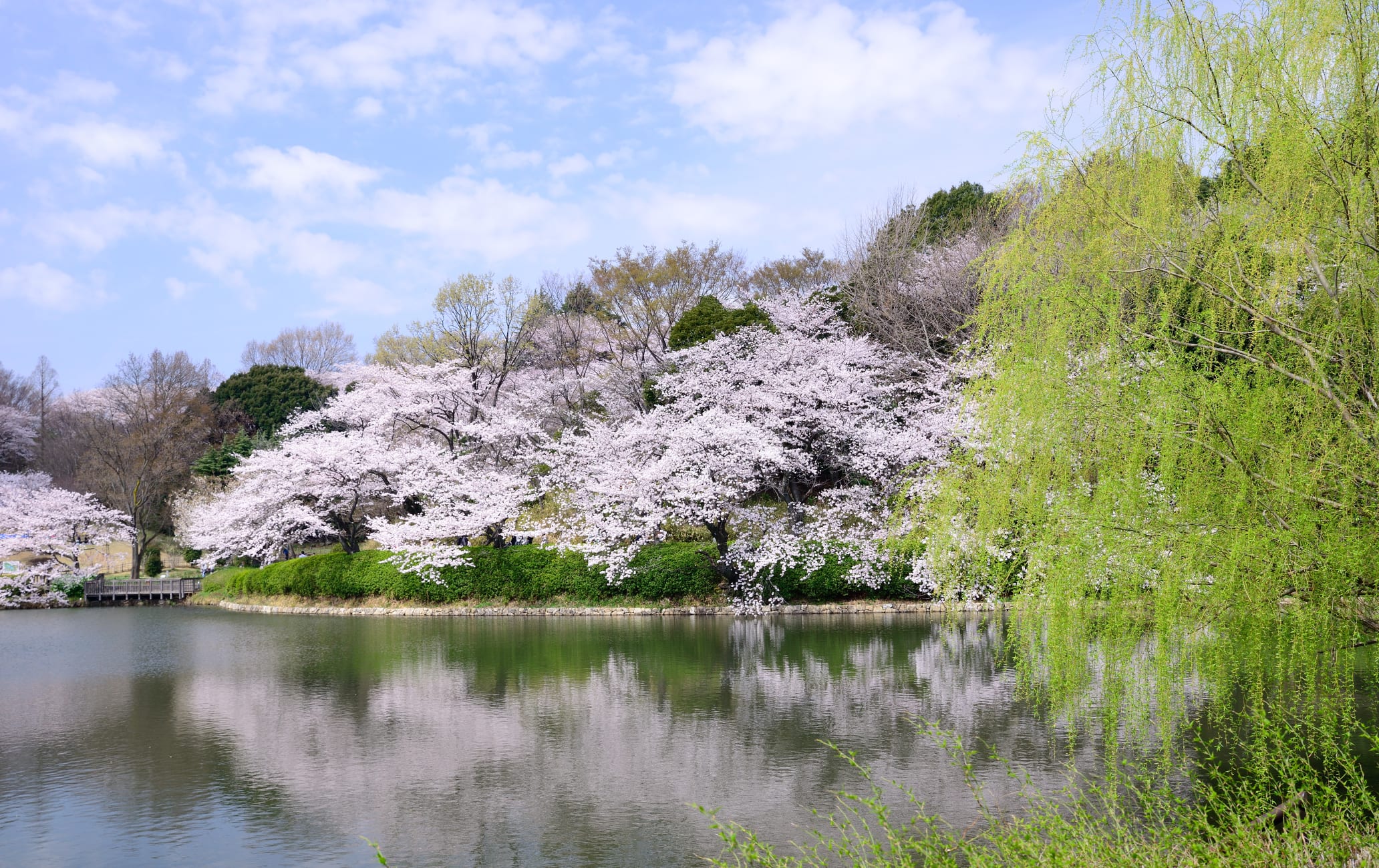 kanagawa prefectural mitsuike park