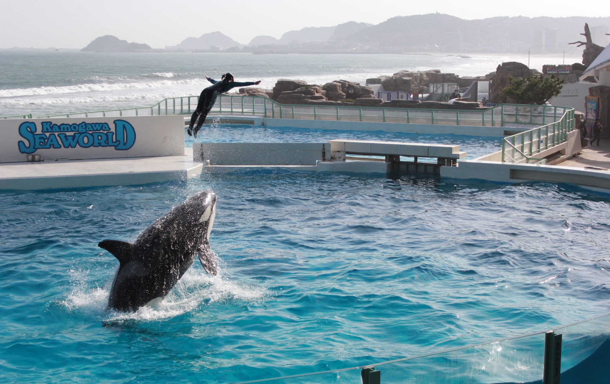 Kamogawa Seaworld