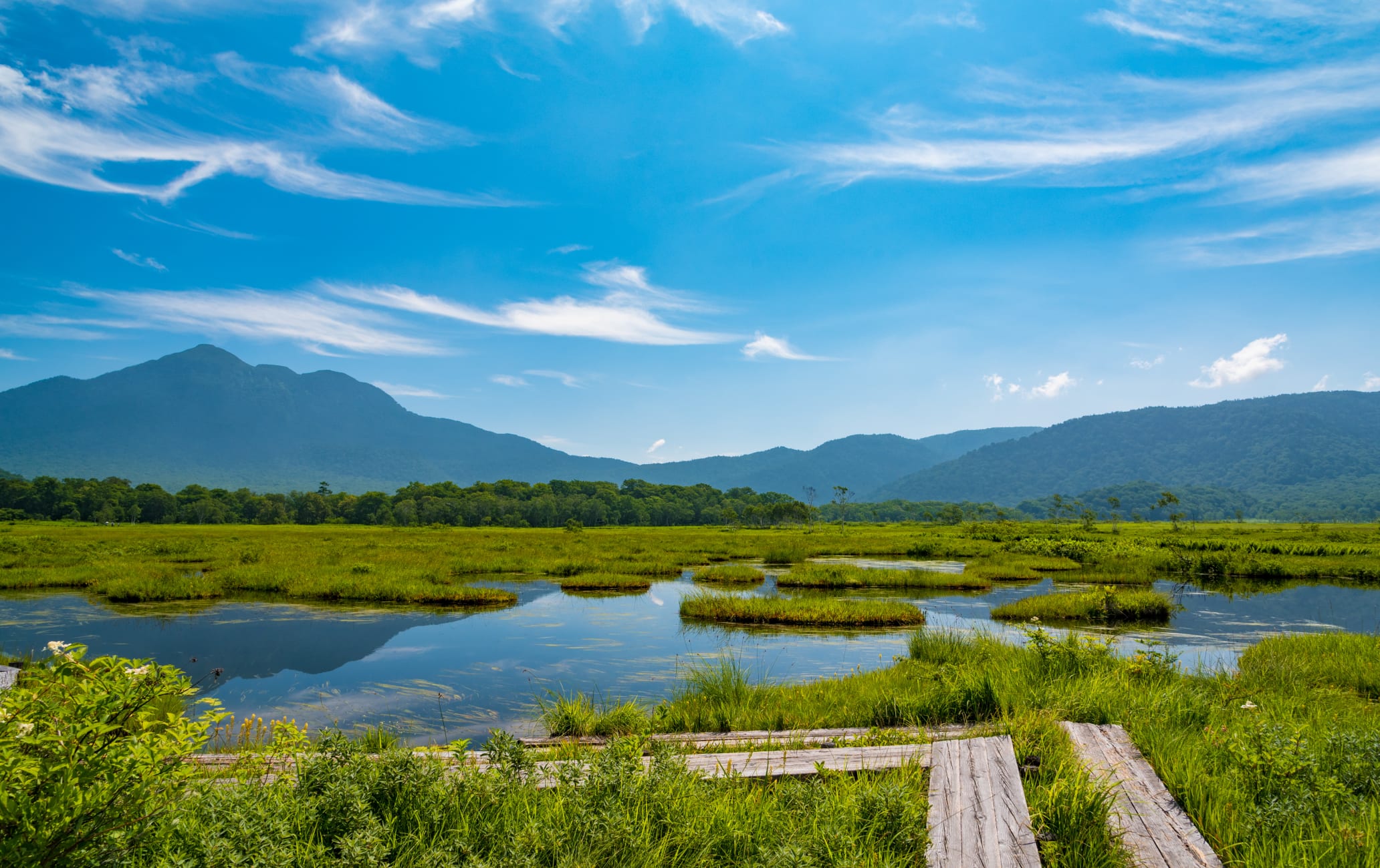  Parc  national  d Oze Niigata Niigata Attractions 