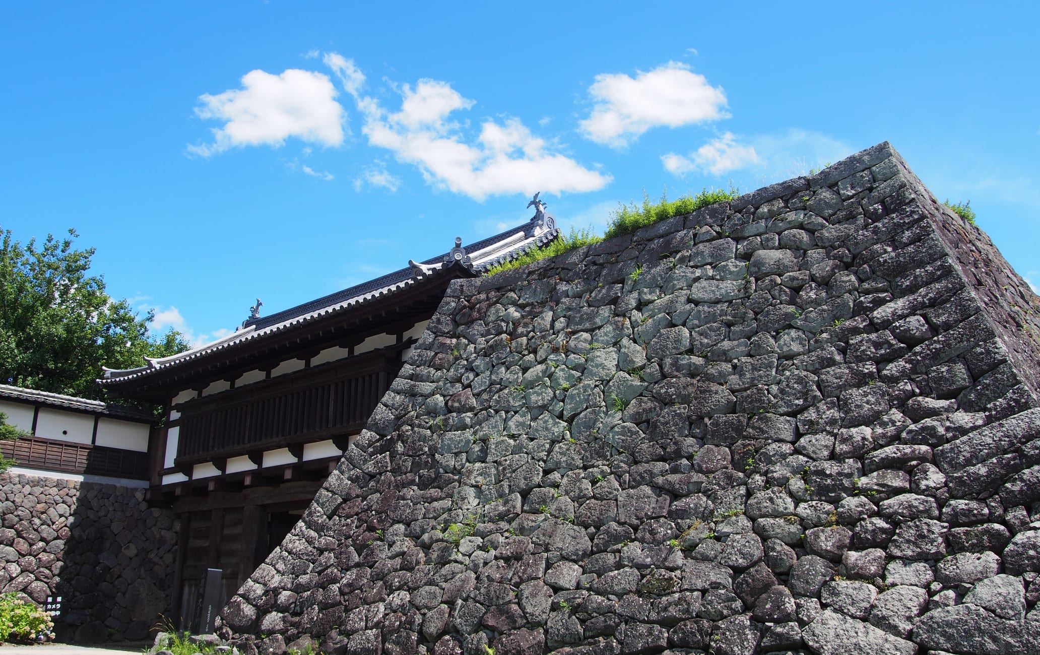 Komoro Castle Ruins Kaikoen