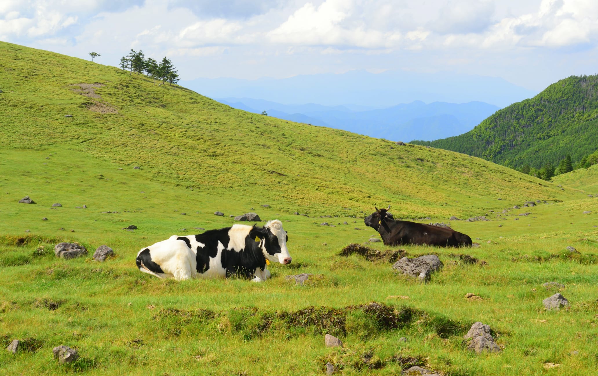 Utsukushi-ga-hara Highlands