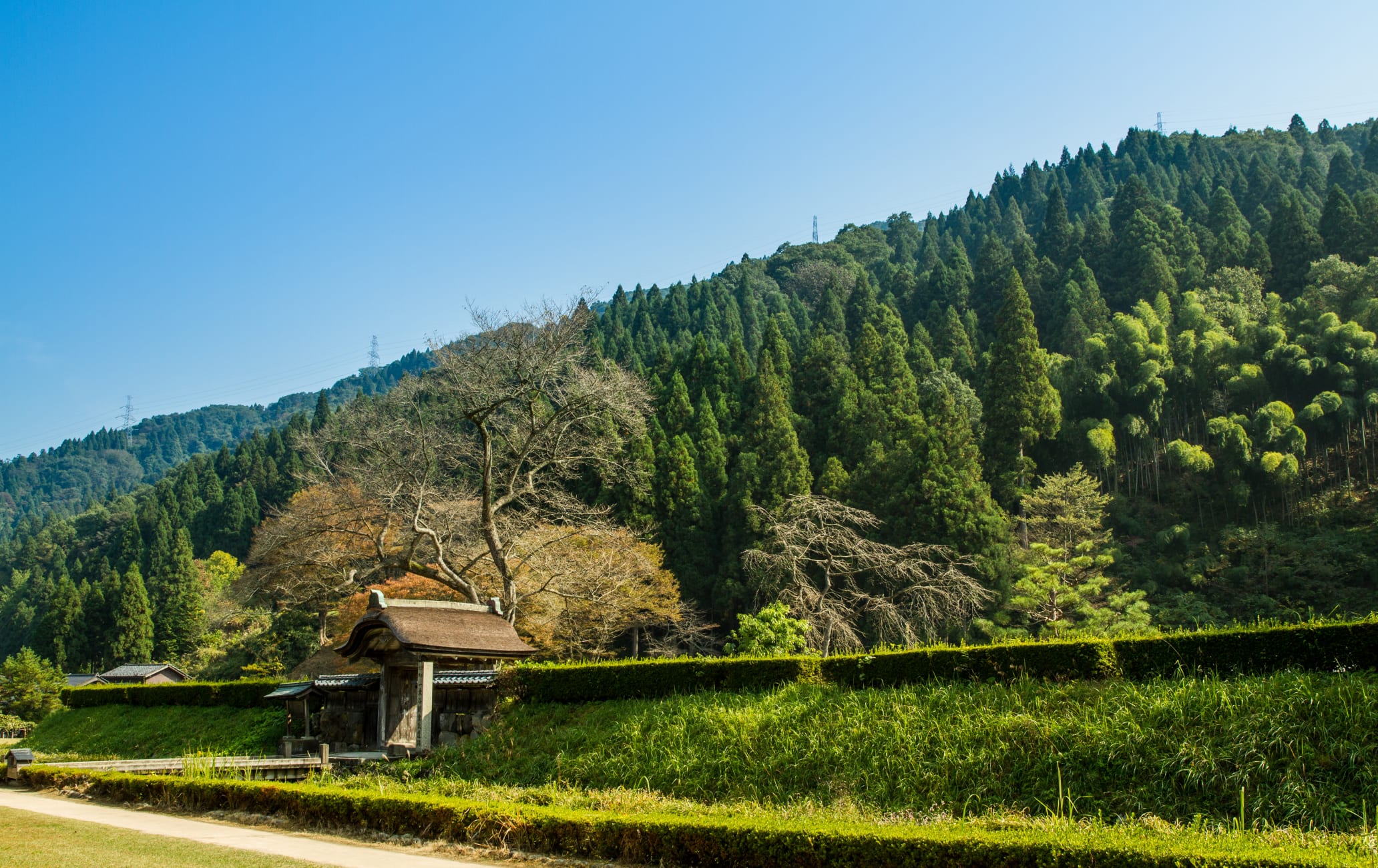 Ichijodani Asakura Clan Ruins