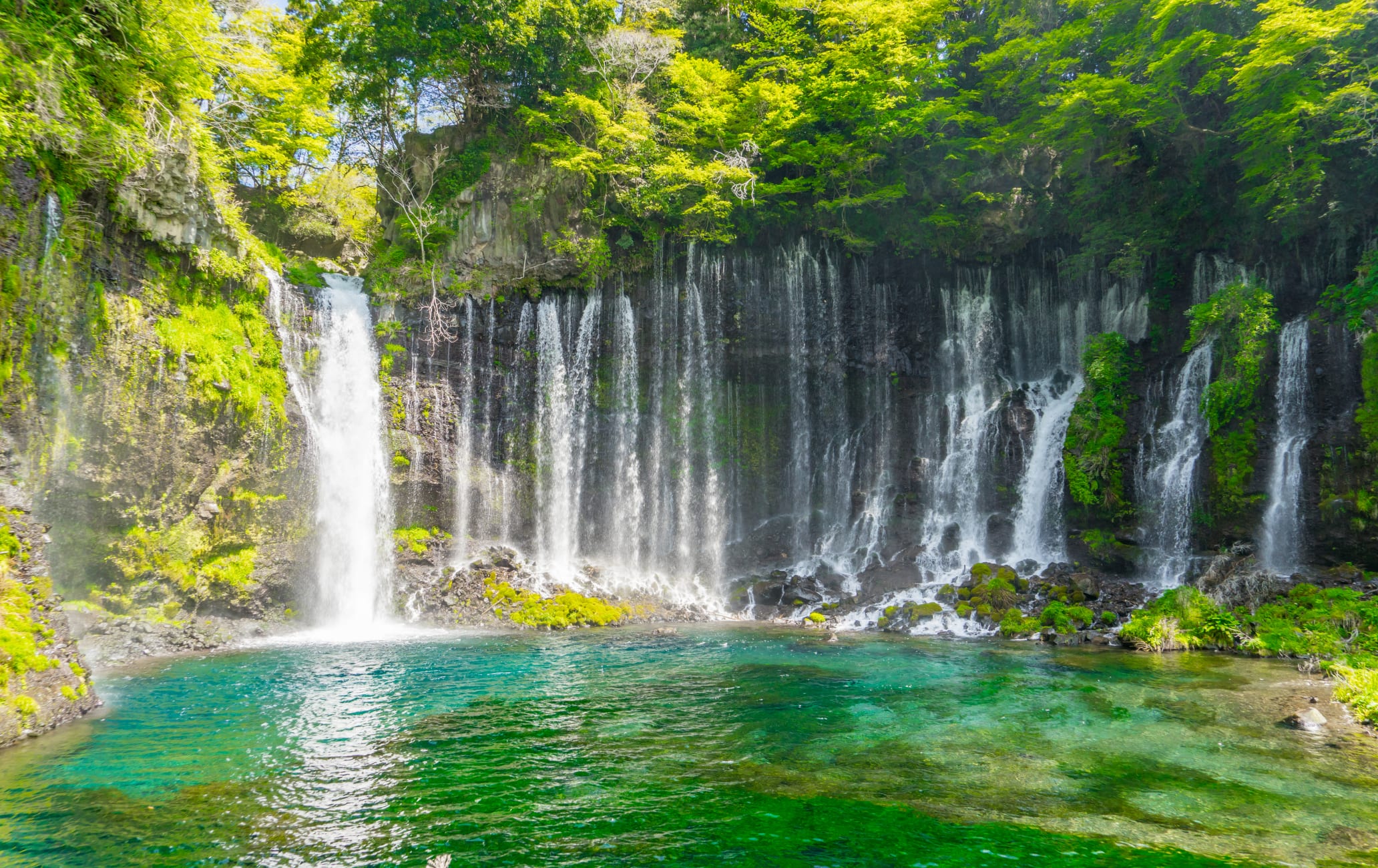 Shiraito Falls (Shizuoka)