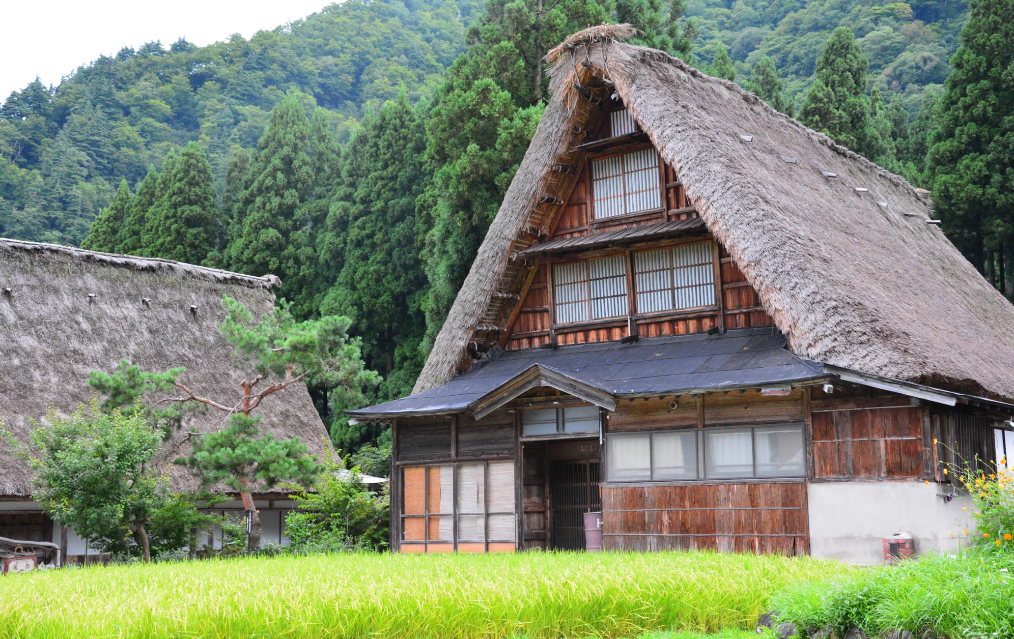 Suganuma Village