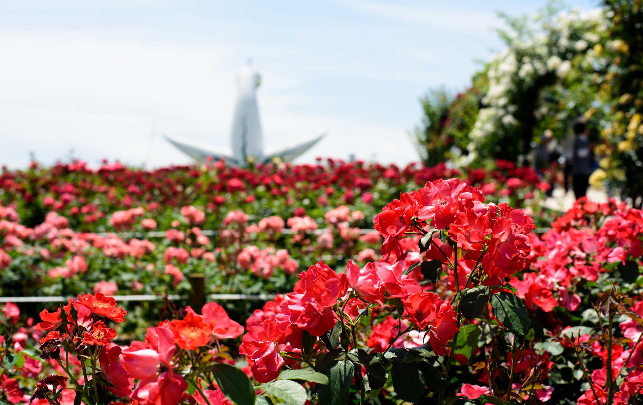 Expo Memorial Park