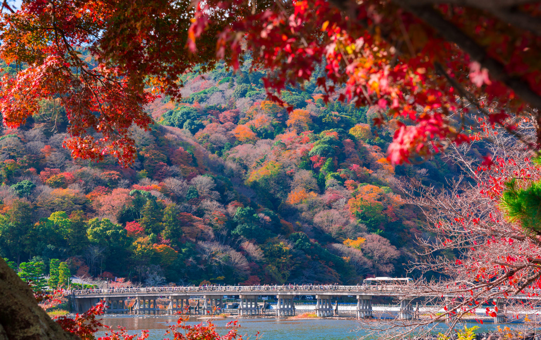 sagano & arashi-yama area